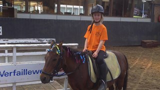 oranje t.shirts borstlogo manege noot