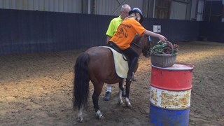 groot op de rug 2012 